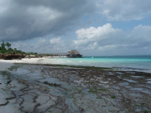 Zanzibarské pláže I