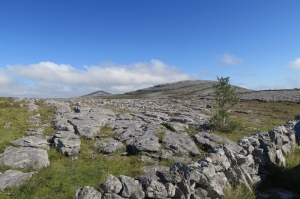 Národný park Burren je na prvý pohľad skalnatá zem. 
