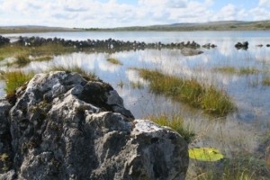Jazero medzi vápencovými kameňmi. 