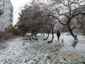 Bratislava under snow